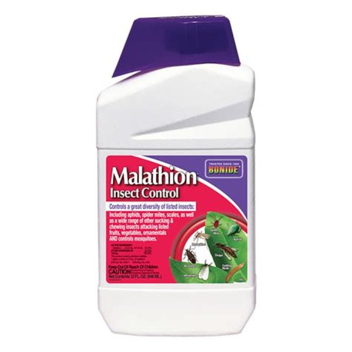 What is in malathion liquid