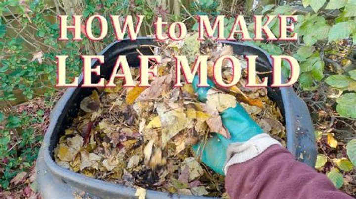 What is leaf Mould good for