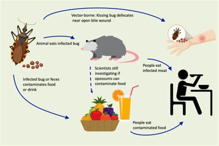 What is Maycombs usual disease in Chapter 9