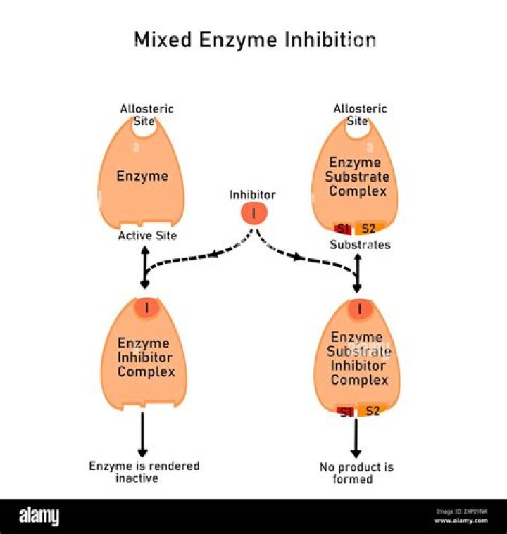 What is meant by saturation of an enzyme