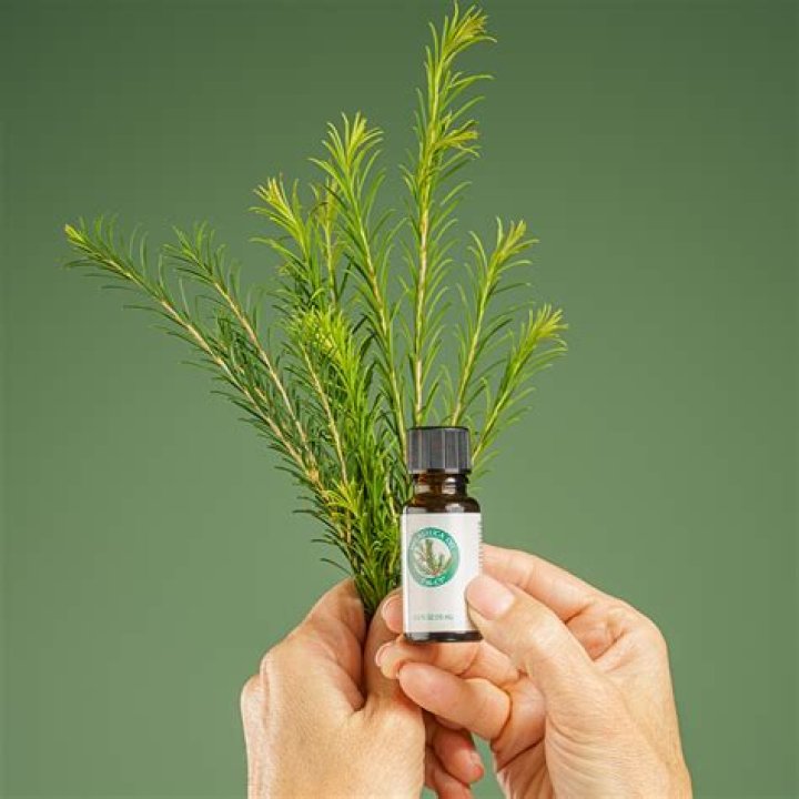 What is Melaleuca oil t36 c5 good for