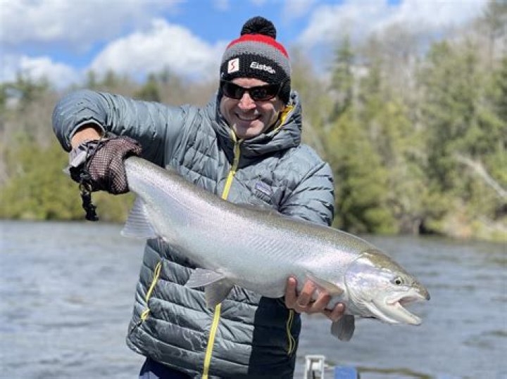 What is Norwegian steelhead trout