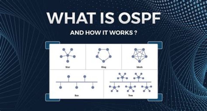 What is OSPF priority