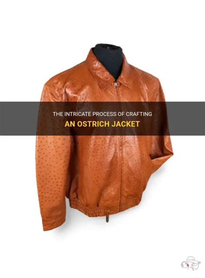 What is ostrich hide jacket