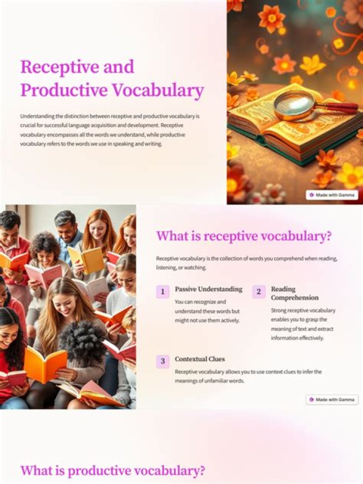 What is productive vocabulary