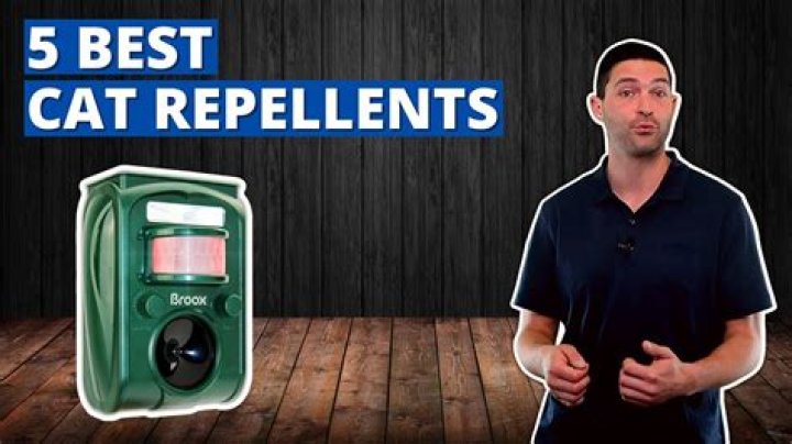 What is the best cat repellent UK