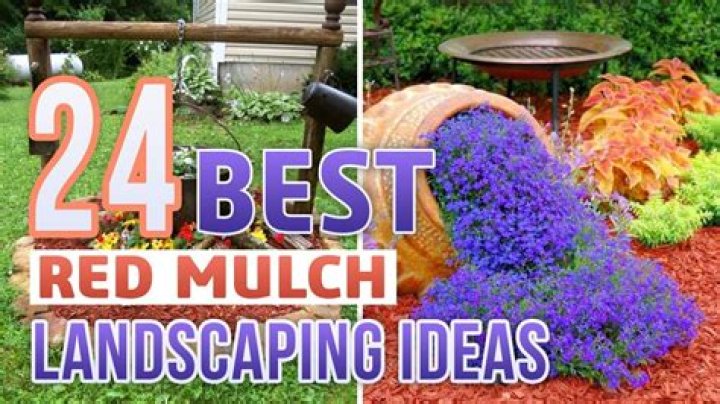 What is the best mulch for a hillside