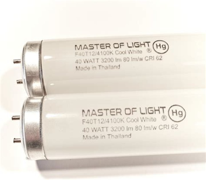 What is the brightest t12 fluorescent bulb