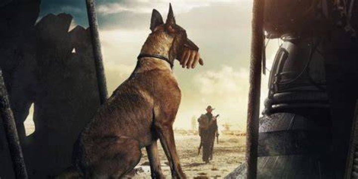 What Is The Dogs Name In Iron Will