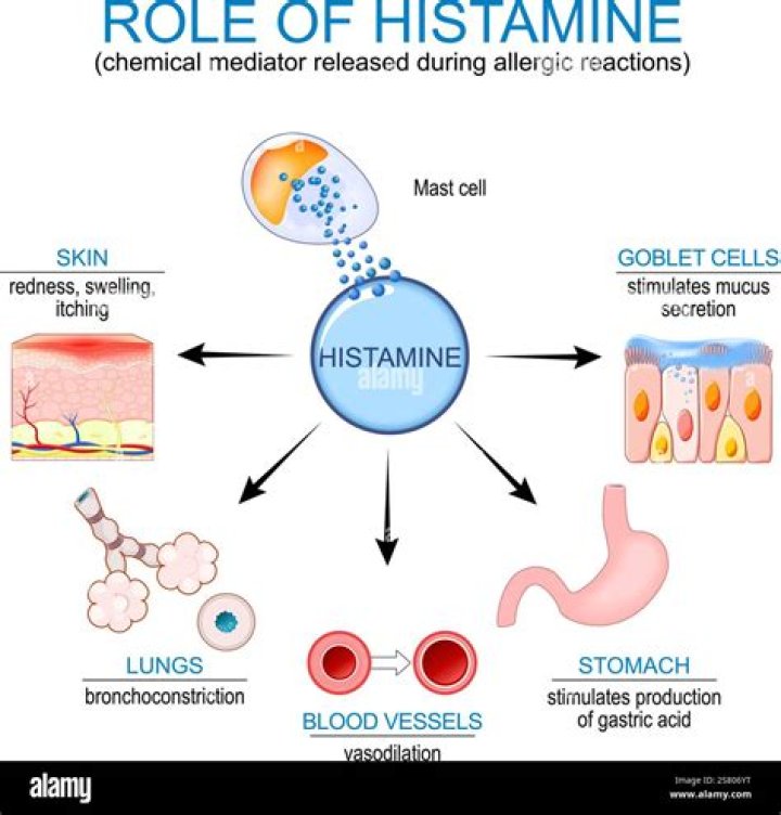 What is the effect of a massive release of histamine