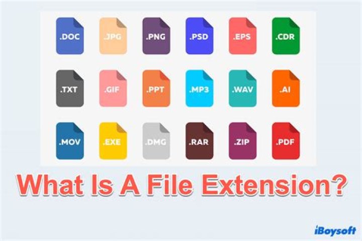 What is the file extension for C