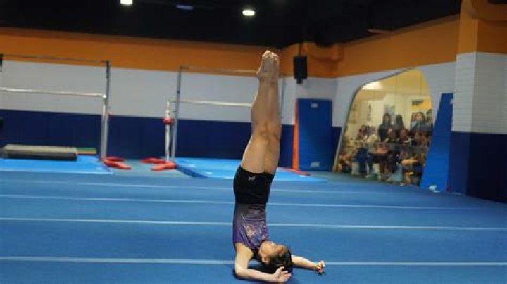 What is the gymnastics floor made of