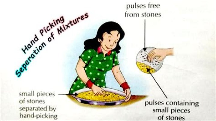 What is the importance of handpicking