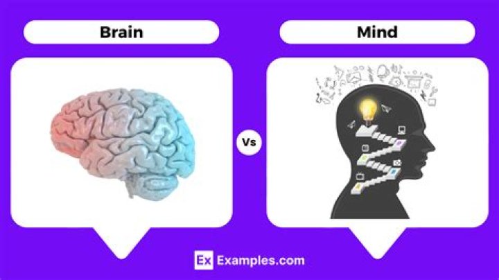 What is the mind brain problem?