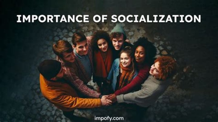 What is the most common source for a persons political socialization