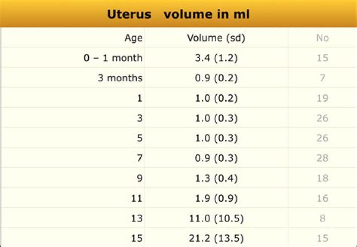 What is the normal volume of a uterus