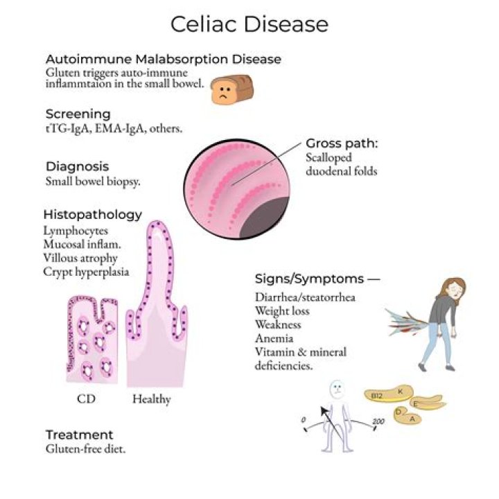 What is the pathology of celiac disease
