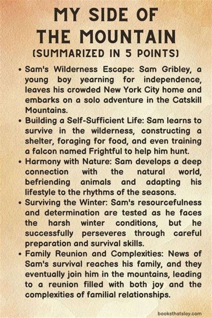 What is the reading level of my side of the mountain