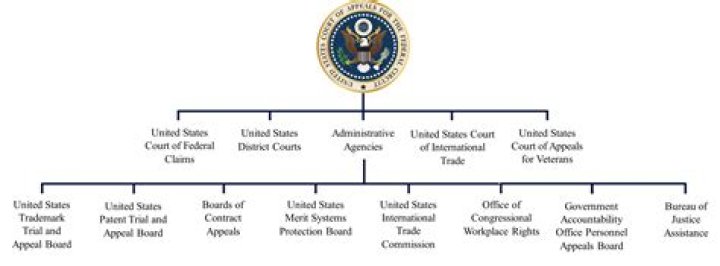 What is the US Court of Federal Claims and what kinds of cases are heard in it