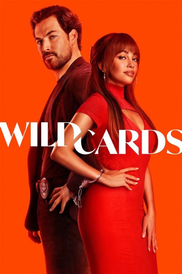 What is the wildcard in access