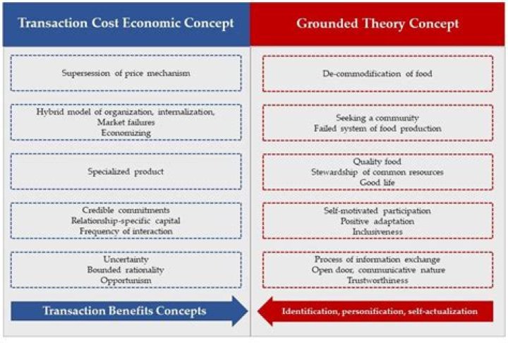 What is transaction cost economics and why is it important for the theory of the firm