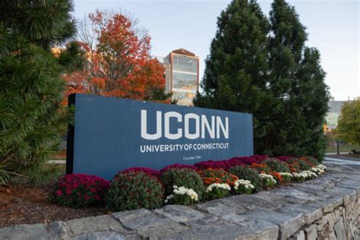 What is Uconn NetID