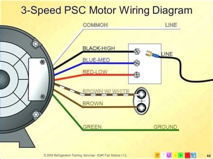 What kind of wiring diagram does Damon use?