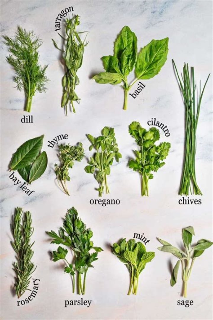 What other green herbs are grown in the Mediterranean countries