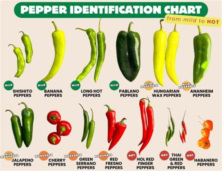 What peppers are in hot sauce