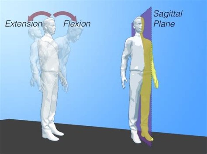 What plane is flexion and extension