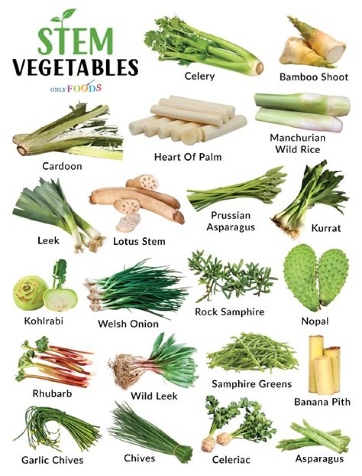 What type of plants are vegetables