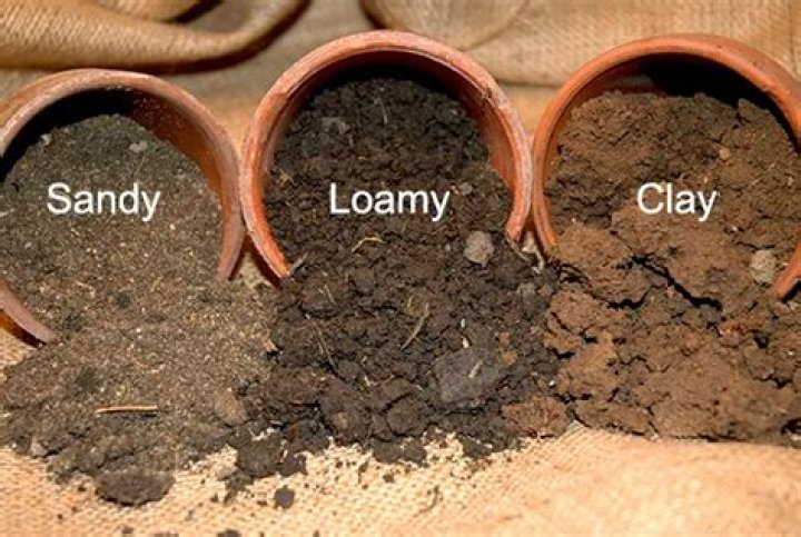 What type of soil is loam