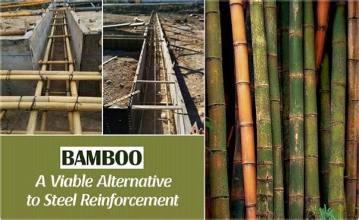 When should bamboo be split