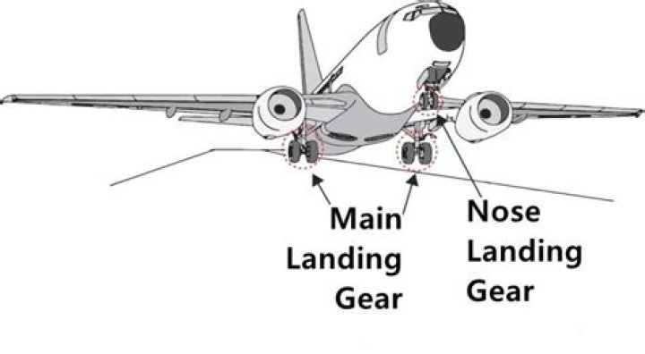 Where are the landing gear located on a plane?