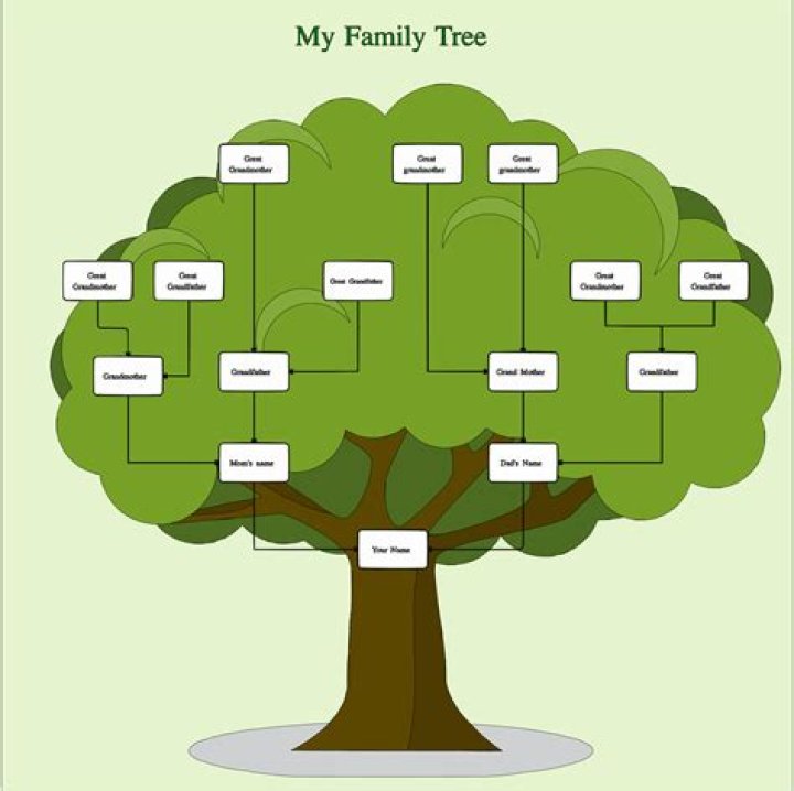 Where can I see my family tree