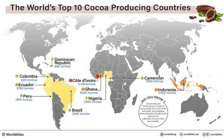 Where does Frys cocoa come from