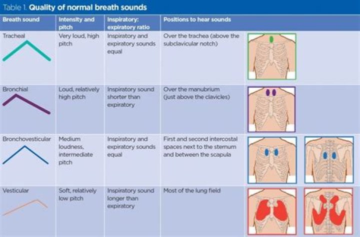 Which adventitious breath sounds are discontinuous on auscultation