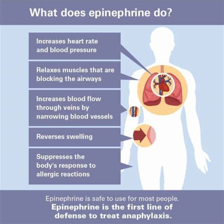 Who created epinephrine