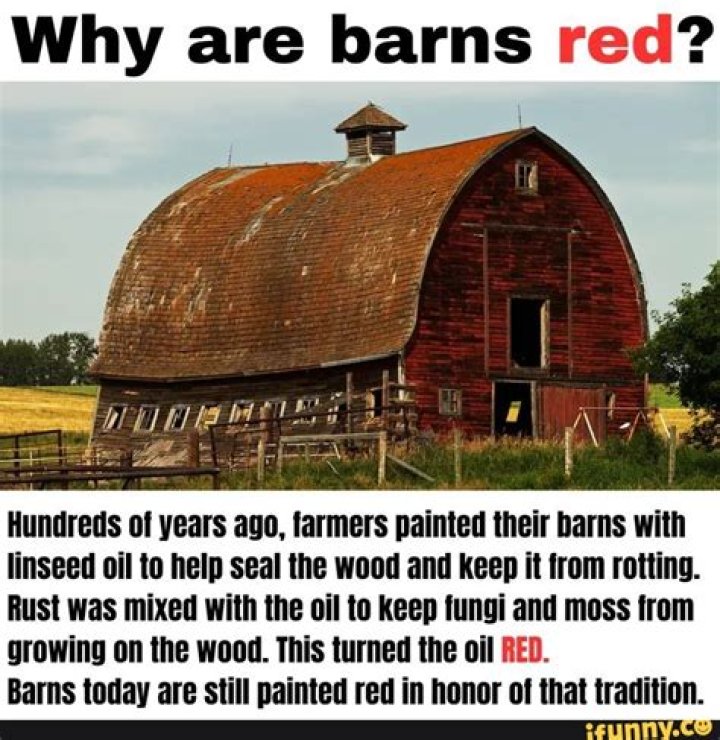 Why are most old barns painted red