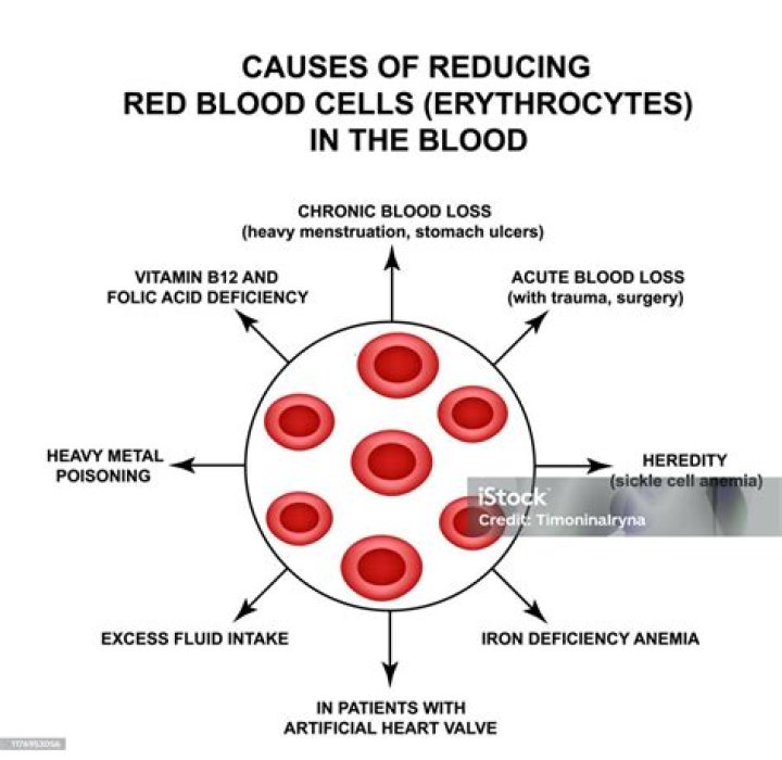 Why Are Red Blood Cells Unable To Repair Damaged Proteins