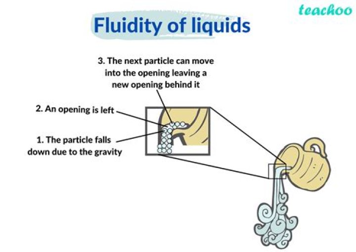 Why do gases have fluidity