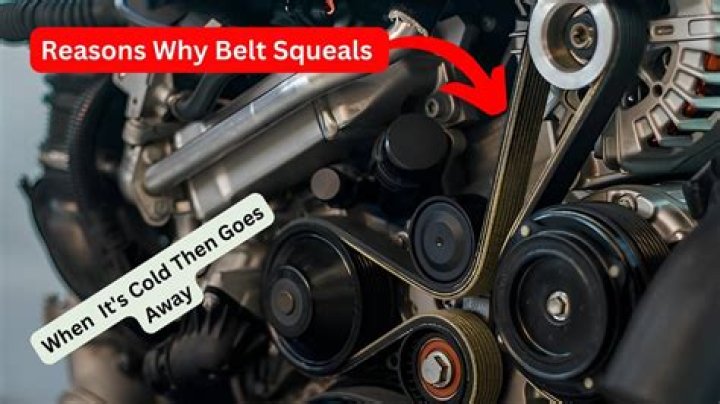 Why does belt squeal on startup?