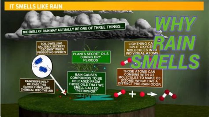 Why does my oven smell weird when I turn it on
