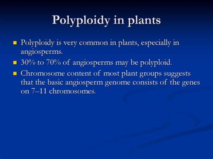 Why does polyploidy occur more in plants