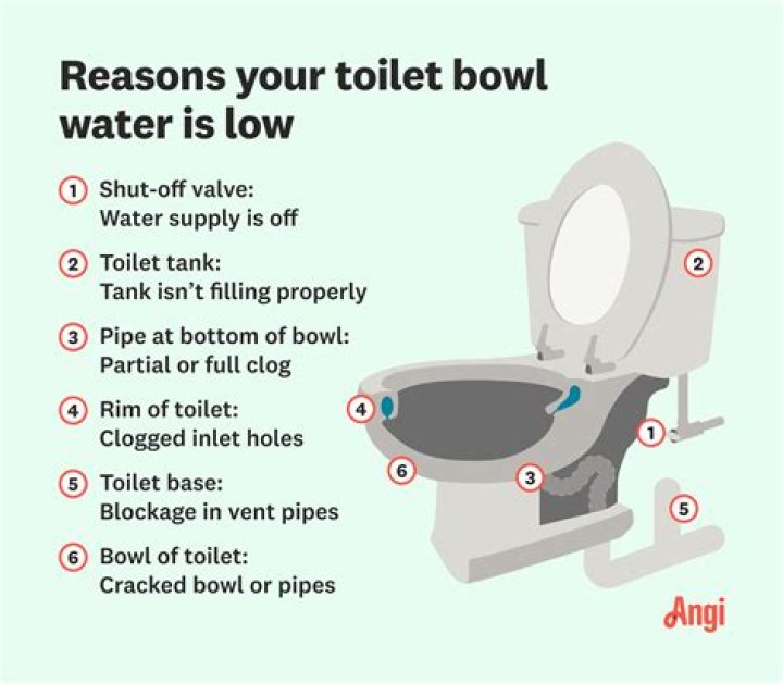 Why does the water in my toilet rise when I flush?
