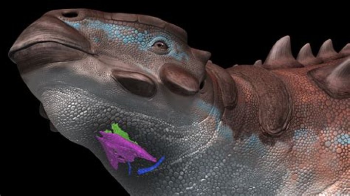 Why is it called a Chinese raffle