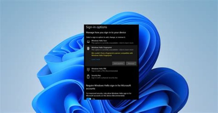 Why is my Delphi not compatible with Windows 10?