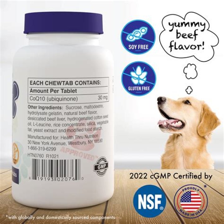Will Phenylephrine Hurt My Dog